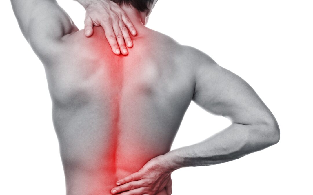 Too Stiff or Too Flexible? Bulletproof Your Back!